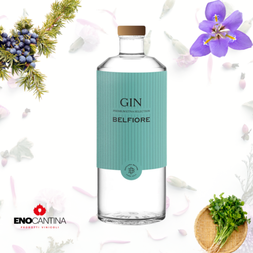Gin Belfiore