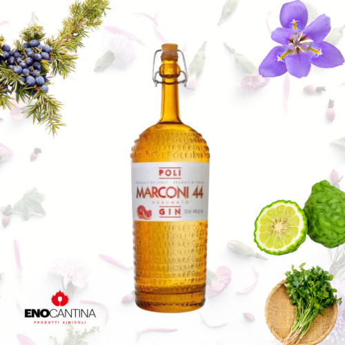 Gin Agrumato Poli