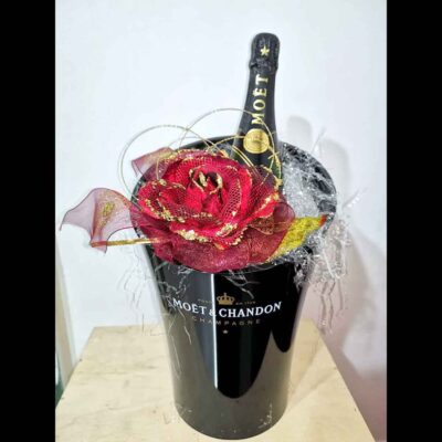 Secchiello Moet & Chandon