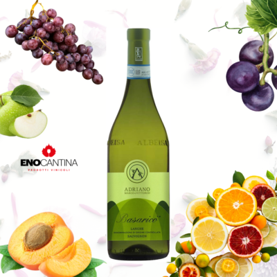 Adriano Marco e Vittorio - Basaricò Sauvignon Langhe DOC 2023