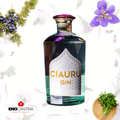 Ciauru Gin