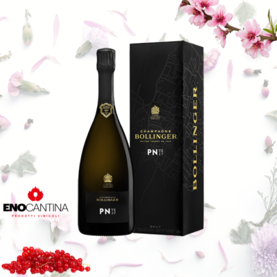Bollinger PN
