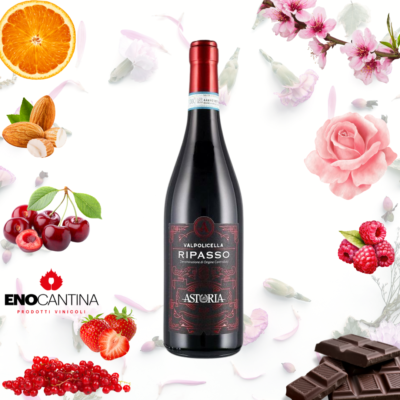 Astoria Valpolicella Ripasso DOC