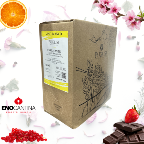 Bag in Box 3 litri Carricante Bianco Azienda Agricola Puglisi Zafferana Etnea Sicilia vino bianco Etna suolo vulcanico