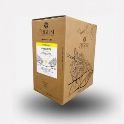 Carricante vino etna bag in box 3 litri