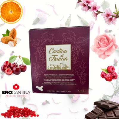 Bag in Box Fauma Merlot vino rosso formato conveniente con rubinetto salvagoccia per uso quotidiano